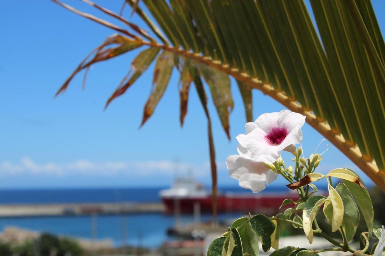 サンタクルスデテネリフェTerraza Del Atlantico, Un Oasis En La Ciudadアパートメント エクステリア 写真